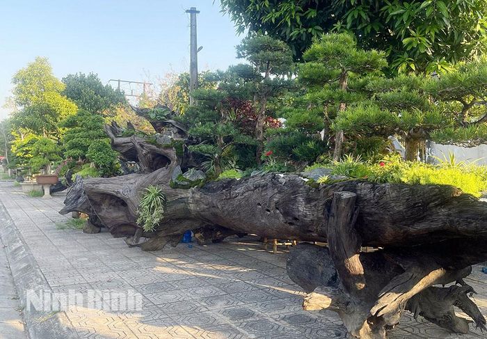 Nhiều tác phẩm có kiểu dáng độc đáo được trưng bày tại Hội chợ.