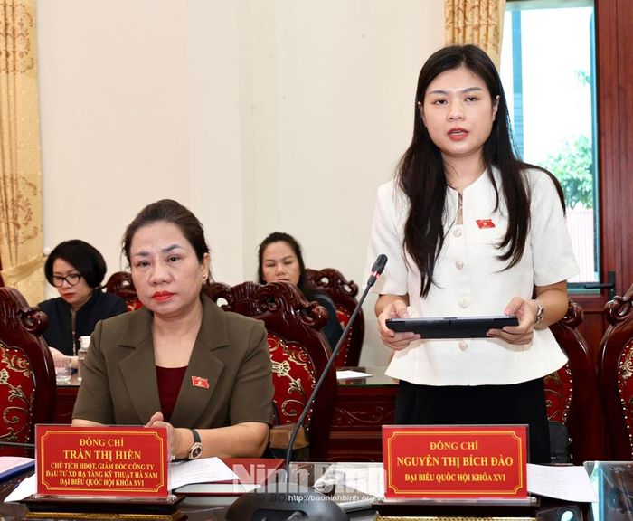 Đại biểu Quốc hội Nguyễn Thị Bích Đào, giáo viên Trường THPT chuyên Lê Hồng Phong phát biểu tại buổi làm việc.