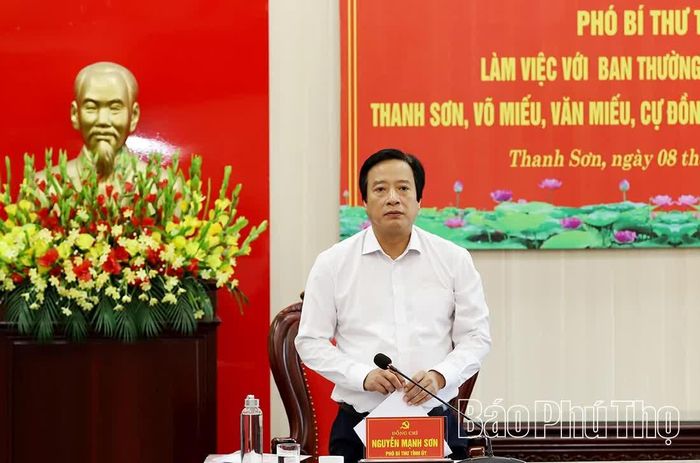 Đồng chí Phó Bí thư Tỉnh ủy Nguyễn Mạnh Sơn phát biểu chủ trì buổi làm việc.
