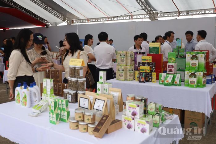 Sản phẩm công nghiệp nông thôn của Quảng Trị được trưng bày, giới thiệu đến người tiêu dùng - Ảnh: H.C