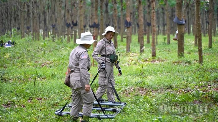 Rà phá bom mìn, vật liệu nổ sau chiến tranh do tổ chức phi chính phủ nước ngoài tài trợ - Ảnh: Phan Khiêm