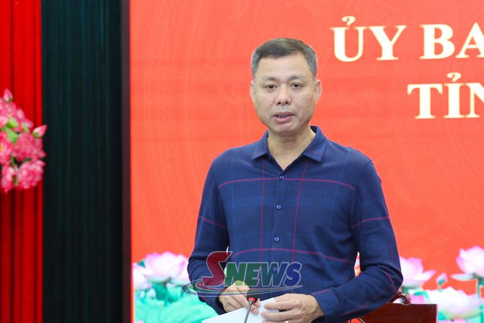 Đồng chí Phó Chủ tịch UBND tỉnh phát biểu tại cuộc làm việc.