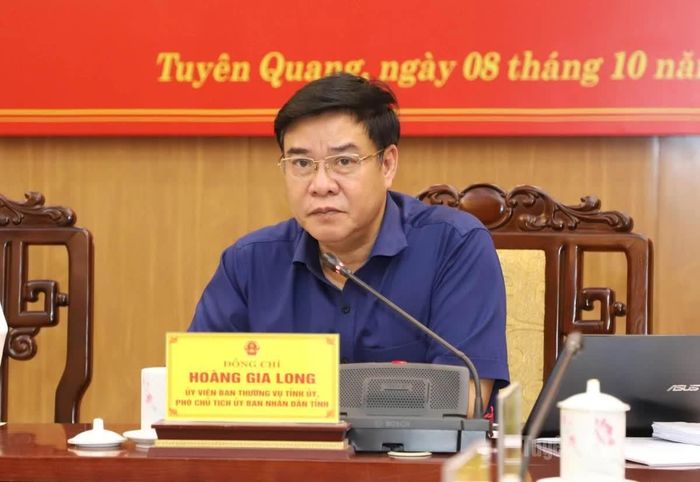 Phó Chủ tịch UBND tỉnh Hoàng Gia Long phát biểu tại buổi làm việc.