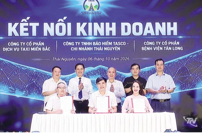 Các hội viên Hiệp hội Vận tải tỉnh ký kết hợp tác kinh doanh.
