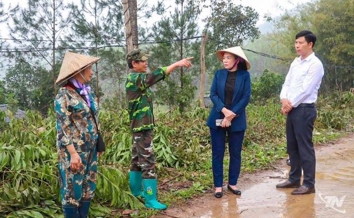 Lãnh đạo xã Dân Tiến đi cơ sở kiểm tra tình hình phát triển nông nghiệp tại địa phương.