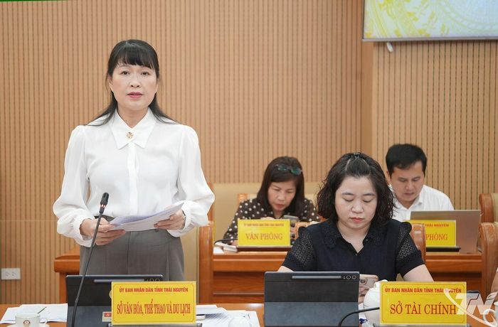 Đại diện Sở Văn hoá, Thể thao và Du lịch phát biểu thảo luận.