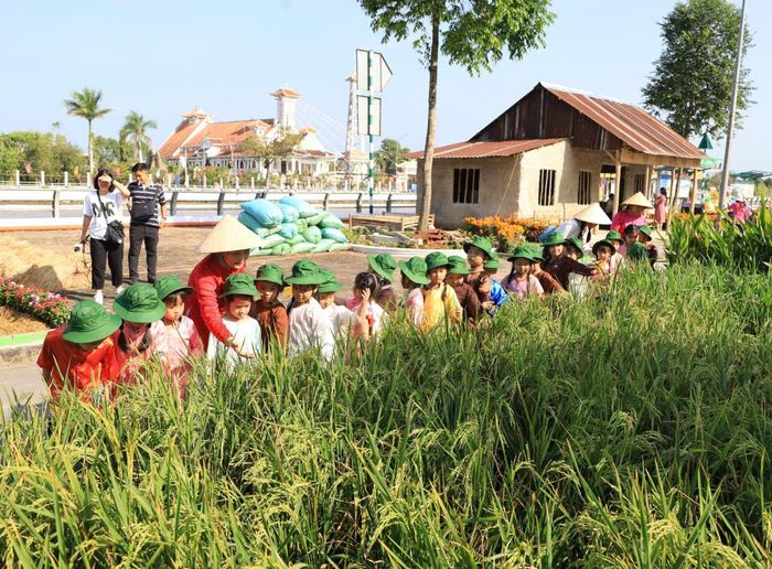 Mô hình lúa chất lượng cao tại festival thu hút du khách tham quan.