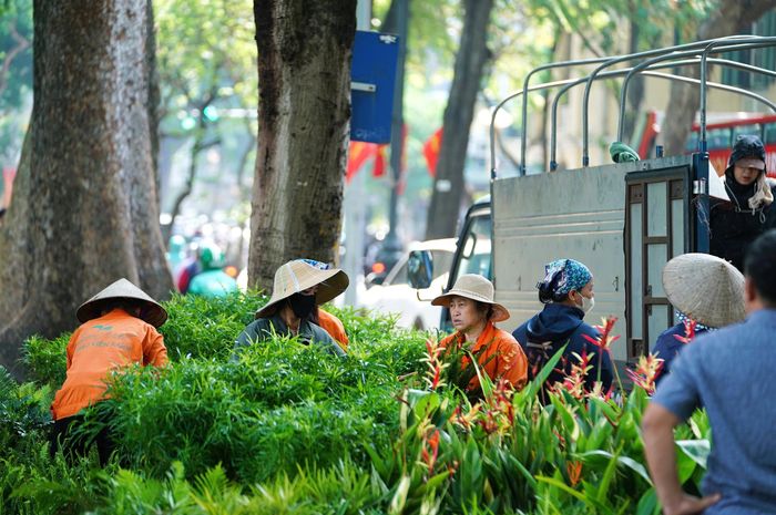 ''Công việc những ngày này khá bận rộn, nhưng mọi người đều cố gắng hoàn thành sớm để Hà Nội sạch đẹp, rực rỡ hơn trước ngày 10/10. Nhìn người dân thích thú chụp ảnh vui vẻ, chúng tôi cũng thấy rất vui vì công việc của mình góp một phần nhỏ vào diện mạo của Hà Nội trong dịp kỷ niệm Ngày Giải phóng Thủ đô", cô Nguyễn Thị Lan công nhân chăm sóc cây xanh hồ Hoàn Kiếm chia sẻ.