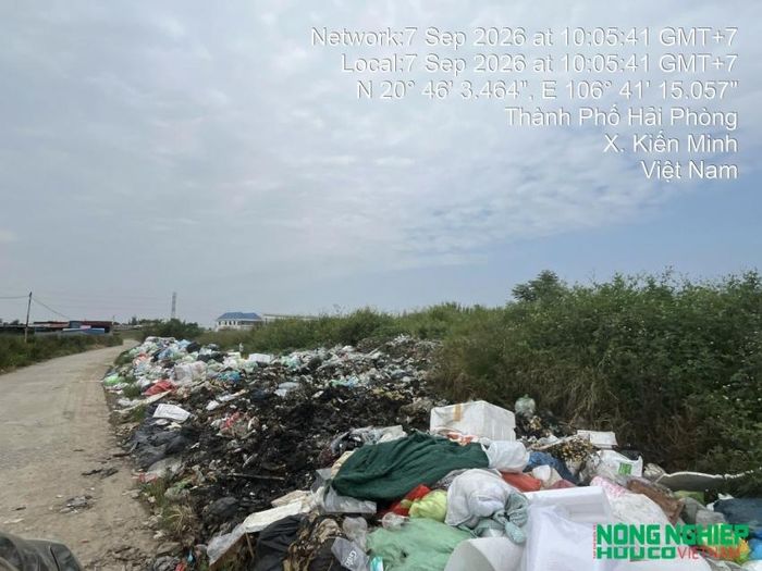 Bãi rác cũ xã Kiến Minh ngày 7/10/25026.