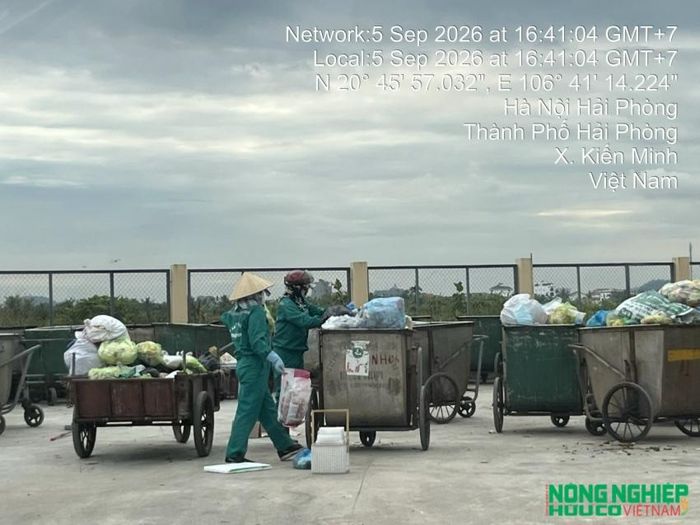 Công nhân thu gom rác ngay cạnh bãi rác cũ xã Kiến Minh ngày 5/9/2026.