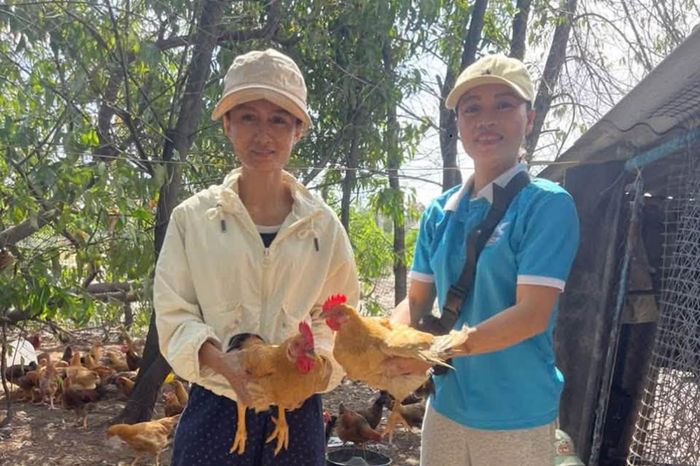 Từ một đàn gà được chăm sóc tốt hôm nay sẽ kỳ vọng hình thành năng lực sản xuất và tinh thần tự vươn lên