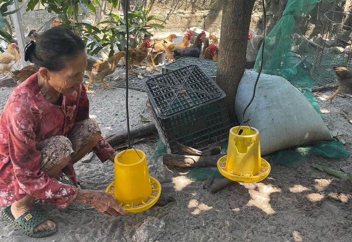 Được tập huấn kỹ thuật, bà con ngày càng tự tin hơn trong chăm sóc