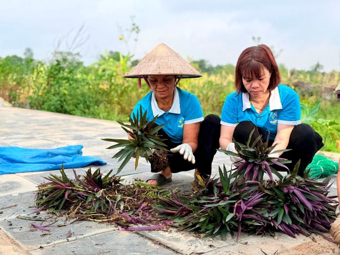Hàng tuần, người dân đều dành thời gian để chăm sóc, dọn dẹp và trồng hoa trên các tuyến đường. Ảnh: Thanh Hà