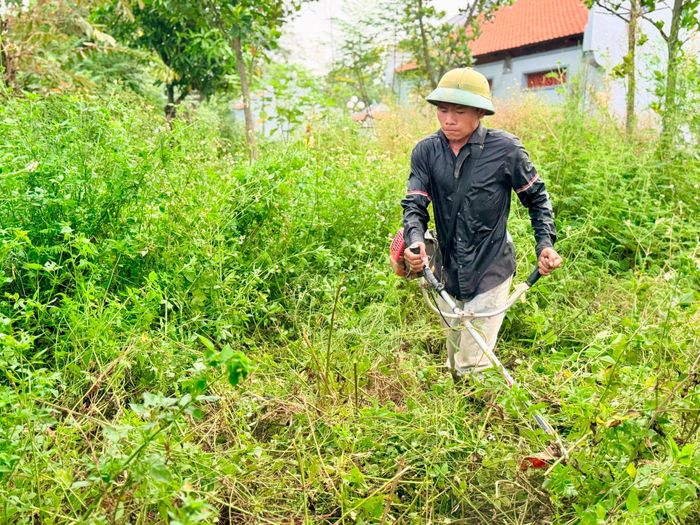 Không chỉ quanh các tuyến đường, các đình, chùa, nơi hoạt động văn hoá cũng được người tích cực cắt cỏ dọn sạch sẽ. Ảnh: Thanh Hà