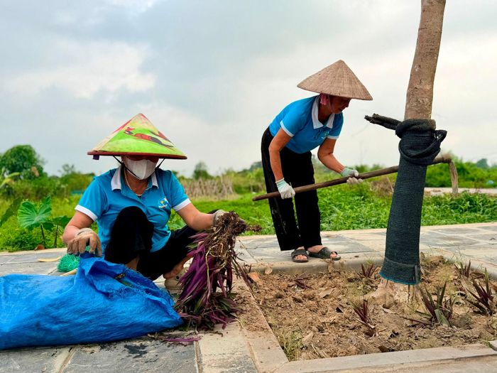 Nhiều tuyến đường tại thôn Phù Thuỵ trước đây bị cây cỏ cùng rác thải bỏ vây. Sau nhiều tháng dọn dẹp, hiện nay những tuyến đường này đã sạch sẽ và được trồng hoa thay thế. Ảnh: Thanh Hà