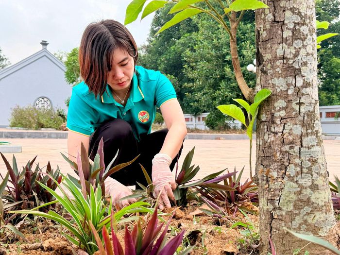 Tại sân đình Thuỵ Hà, những phụ nữ của thôn sẽ trồng những cụm hoa mới thay thế cho những cây cỏ vừa được làm sạch. Ảnh: Thanh Hà