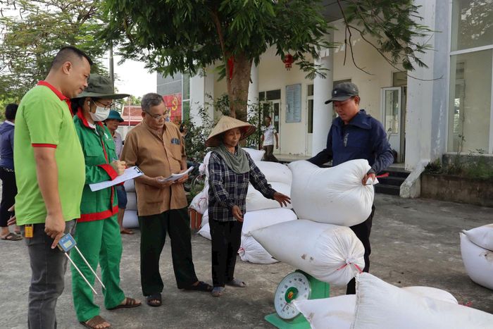 Doanh nghiệp thu mua thóc tươi cho nông dân sản xuất hữu cơ Đồng Phú ngay sau thu hoạch. Ảnh: Nguyễn Mai