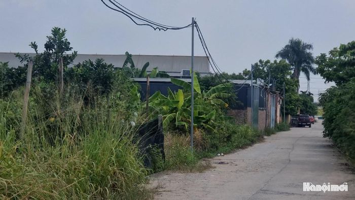 Nhiều công trình nhà xưởng tại khu Ổ Gà, thôn Lại Dụ, xã An Khánh được đấu nối dây điện có hình dáng giống dây điện ba pha để phục vụ sản xuất. Ảnh: Thái Trọng.