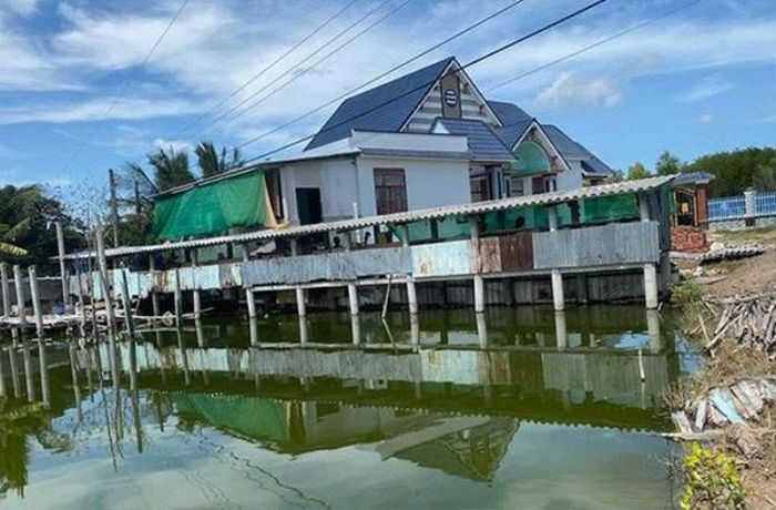 Anh tận dụng khoảng đất trống để làm trang trại.