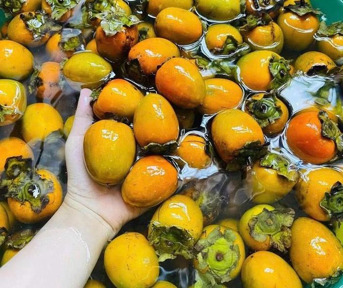 Ăn nhiều hồng ngâm rất dễ gây tắc ruột, nhất là ở những người cao tuổi, người có tổn thương đường tiêu hóa. Ảnh: Ngọc Hà.