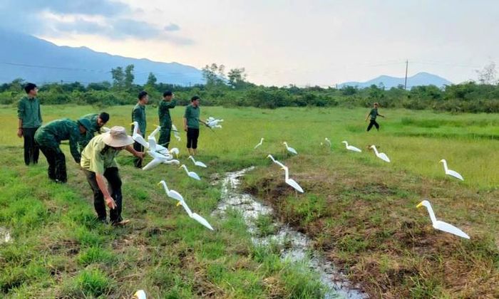 Lực lượng chức năng tiêu hủy dụng cụ bẫy bắt chim. Ảnh: KL.