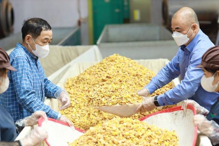 Bảo tồn nguồn gen quý, tạo nền tảng cho nghiên cứu và nhân giống lâu dài.