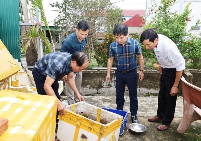 Giám sát véc tơ truyền bệnh SXH tại địa phương. Ảnh: Nhật Thắng.