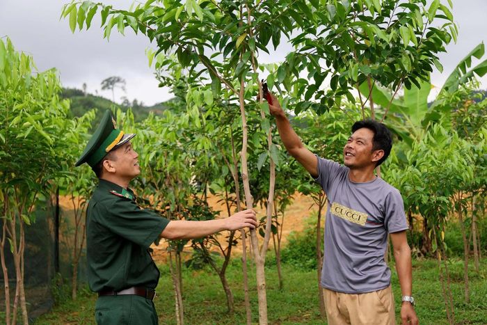 Cán bộ biên phòng hướng dẫn người dân Rào Tre chăm sóc cây dó trầm, từng bước nâng cao hiệu quả sản xuất. Ảnh: Cẩm Kỳ.