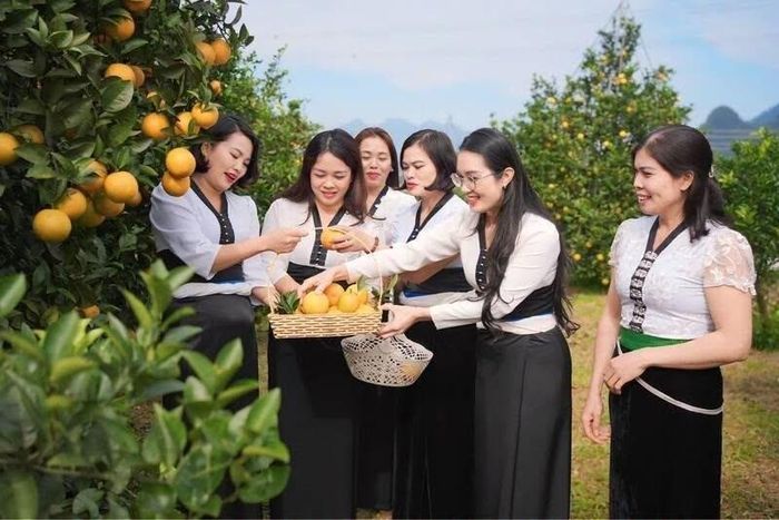 Mường Cơi có lợi thế phát triển du lịch trải nghiệm gắn với nông nghiệp và các sản phẩm đặc trưng