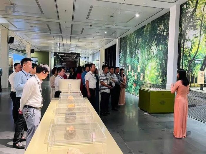 Phát huy hiệu quả giá trị di sản văn hóa và năng lực hiện có của lĩnh vực bảo tồn, bảo tàng