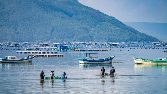 Từng đoàn người kéo khệ nệ những lưới tôm nặng trĩu về khu vực thu mua.