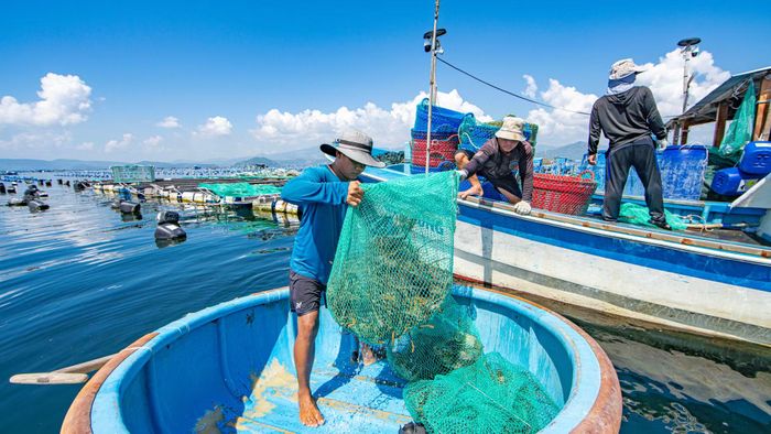 Một "mẻ tôm" vừa được kéo lên để mang vào bờ, nơi các thương lái đang chờ đợi.