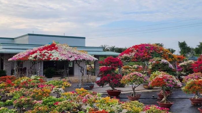 Sản phẩm hoa giấy rất được thị trường ưa chuộng trong dịp Tết. (Ảnh: HOÀNG VŨ)