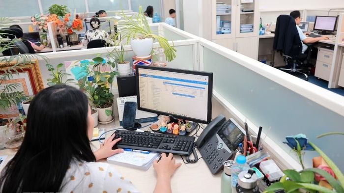 Hoạt động nghiệp vụ của công chức Ban Công nghệ, chuyển đổi số và tự động hóa (Cục Thuế). (Ảnh: TTXVN)