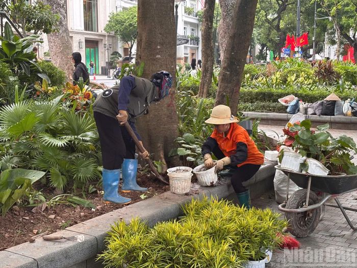 Để chuẩn bị cho trận địa pháo chủ chốt và trung tâm nhất, các đơn vị có liên quan tất bật chuẩn bị, chỉnh trang sao cho Hồ Gươm được “diện” bộ áo rực rỡ nhất.