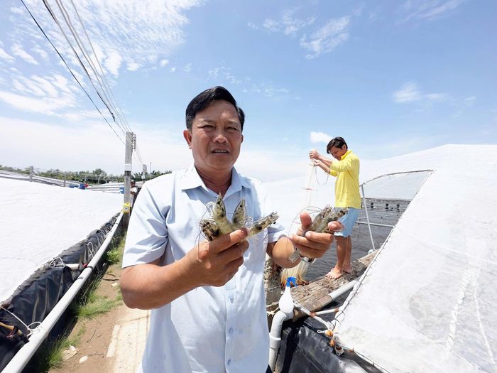  Nông dân Đặng Văn Bảy với mô hình nuôi tôm ở tỉnh Vĩnh Long. Ảnh: Ban tổ chức cung cấp 