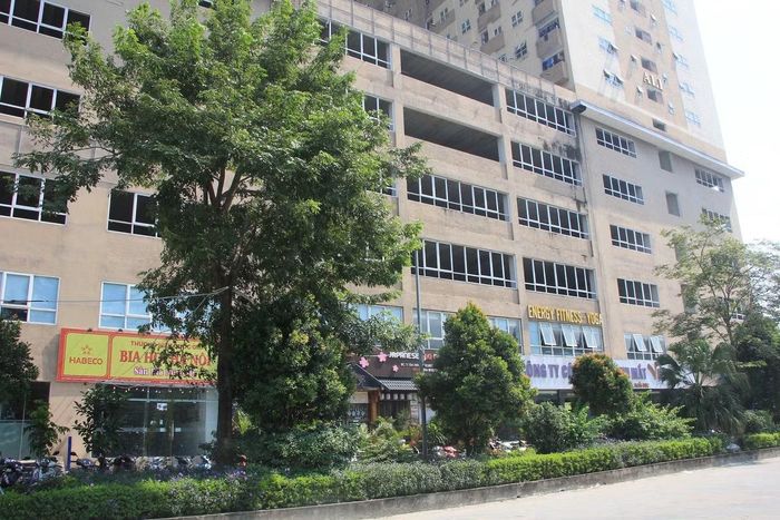 Các khoản tiền chênh lệch này được hợp thức hóa dưới nhiều hình thức như giấy "đăng ký đặt quyền thuê, mua căn hộ", "hợp đồng tư vấn hồ sơ". Trong phiếu thu thì có đóng dấu của sàn Mangala. Nội dung thỏa thuận thể hiện khoản tiền chênh lệch sẽ được khấu trừ vào tiền thuê, mua theo hợp đồng mua bán hoặc văn bản thỏa thuận với chủ đầu tư.