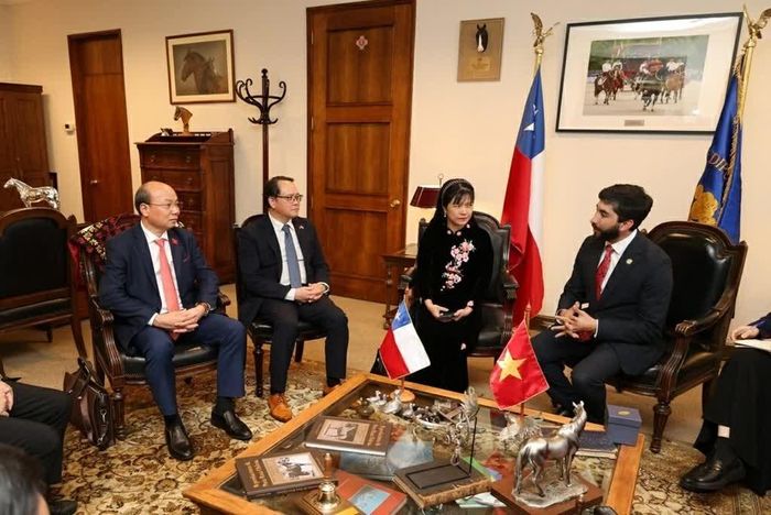 Đoàn gặp Phó Chủ tịch Hạ viện Chile. (Nguồn: Đại sứ quán Việt Nam tại Chile)