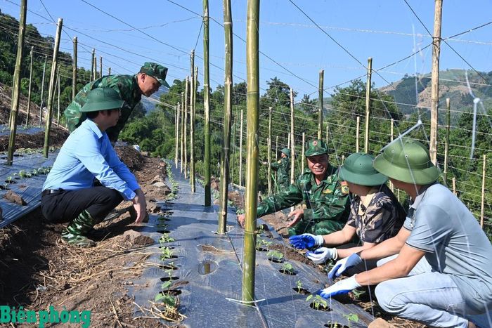Cán bộ Bộ đội Biên phòng tỉnh Lai Châu cùng người dân bản Ngài Thầu, xã Sì Lở Lầu gieo hạt rau giống. Ảnh: Đức Duẩn