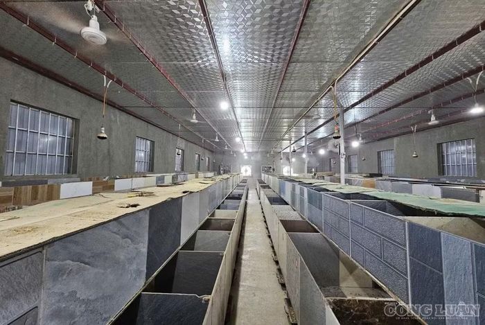Hệ thống chuồng trại được ông Giáo đầu tư bài bản, sạch sẽ để nuôi dúi. Ảnh: Kim Long