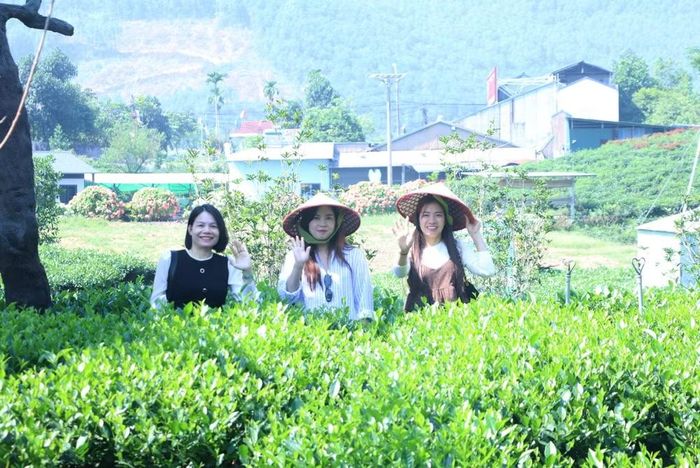 Hành khách trên chuyến tàu trải nghiệm tại Hợp tác xã Trà và Du lịch cộng đồng Tiến Yên. Ảnh: thainguyen.gov.vn
