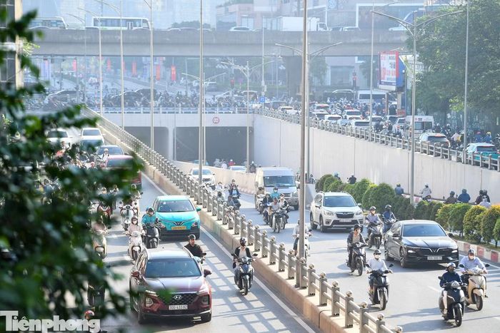 Theo phương án, khoảng 200 m² giàn cây leo sẽ được bố trí dọc thành hầm, chia theo các khoang kiến trúc. Phần trên của tường dự kiến đặt các bồn cây dạng module với tổng chiều dài khoảng 300 m.