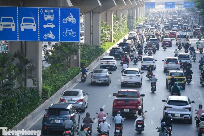 Những công trình này cho thấy một cách tiếp cận khác với bài toán cây xanh ở khu vực nội đô: thay vì tìm thêm mặt bằng, cây được đưa lên chính những kết cấu hạ tầng đã có.