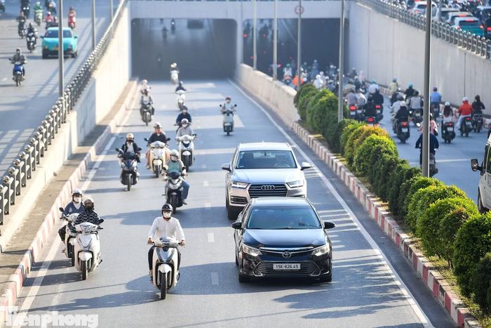 Cây được trồng từ chân giàn và kiểm soát hướng phát triển, tránh ảnh hưởng đến biển báo, khoảng không lưu thông cũng như việc kiểm tra, bảo trì công trình.