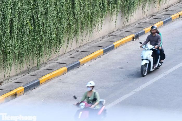 Những dây cây leo tạo thành lớp phủ trên bề mặt công trình, tương phản với màu xám của bê tông và dòng phương tiện bên dưới.