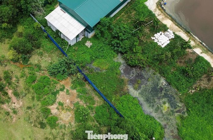 Các trang trại bị phát hiện rò rỉ nước thải ra môi trường, thông số ô nhiễm vượt quy chuẩn và đốt chất thải trái quy định.