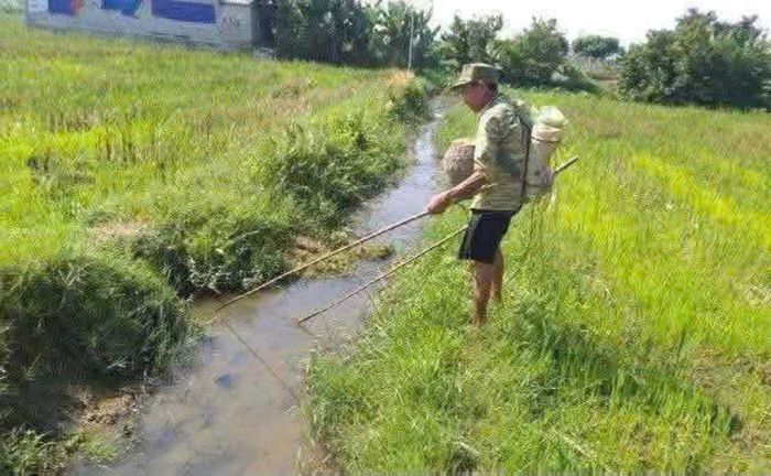 Hệ lụy lớn tới nguồn lợi thủy sản