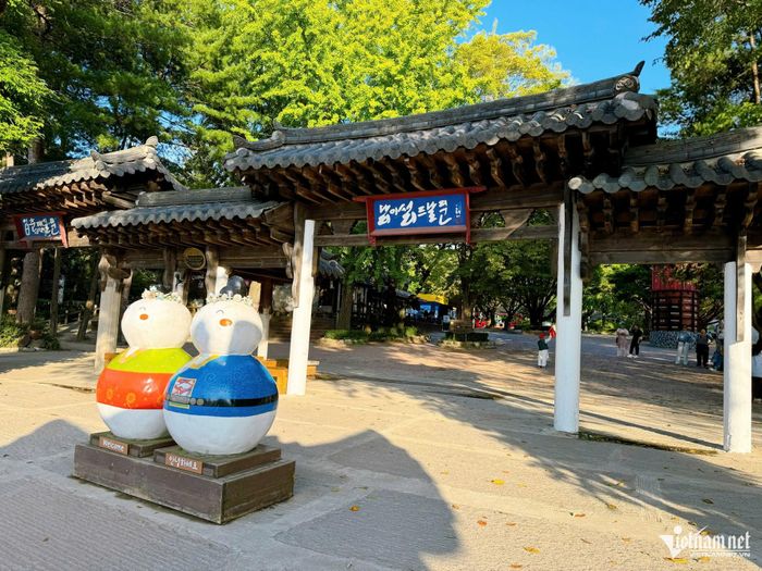 Đảo Nami được ví như một "ốc đảo xanh" nổi tiếng của Hàn Quốc nhờ cảnh quan thiên nhiên hoang sơ, xanh mát