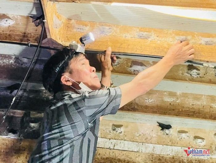 Những tổ yến dày đặc trên khung gỗ đã giúp vợ chồng ông Dũng trả hết nợ nần. Ảnh: Trần Hoàn