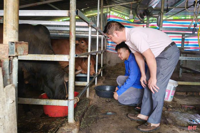 Các hoạt động được triển khai với nội dung đa dạng, hình thức phong phú, bám sát nhiệm vụ chính trị và nhu cầu thực tiễn tại cơ sở.